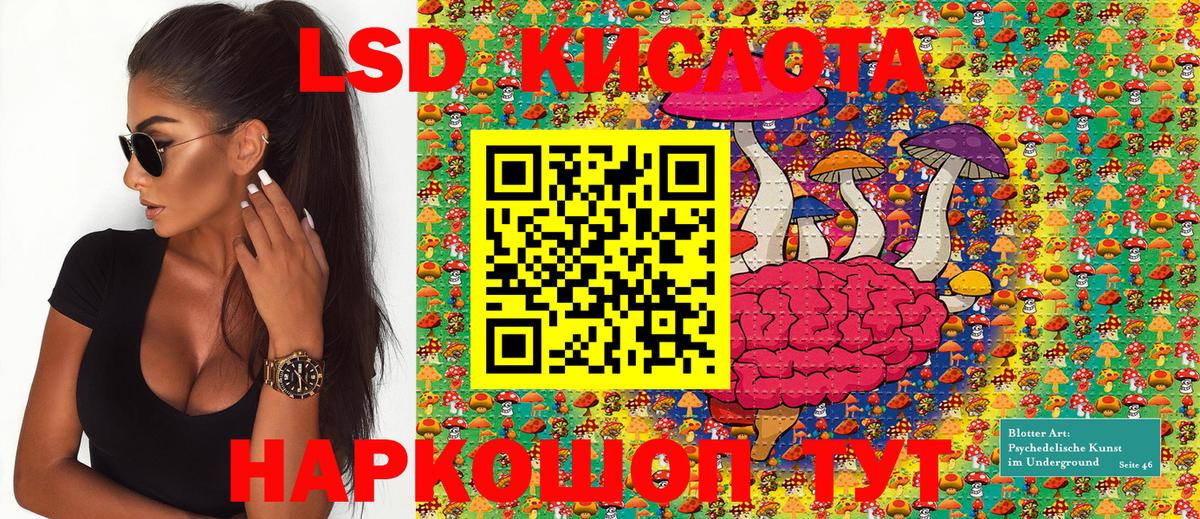 Гусиноозёрск  Марки NBOMe 1,8мг  Марки NBOMe 1,8мг  где купить наркотик  Вход с VPN 