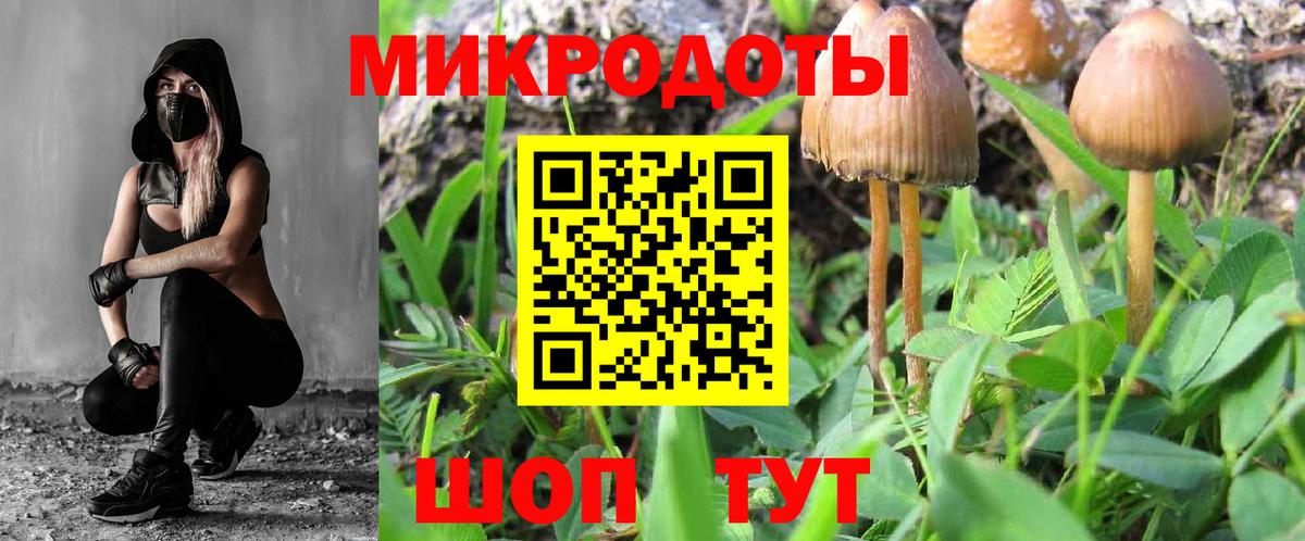 Галлюциногенные грибы мицелий  Вход с VPN  купить наркотик  Гусиноозёрск 